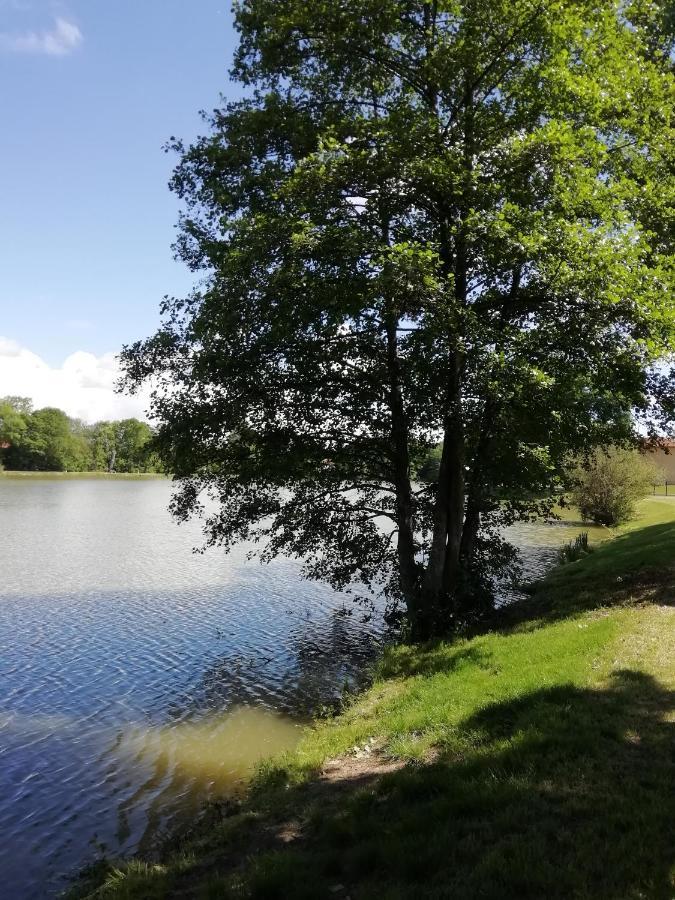 Au Clos De L'Etang Ravel Exterior foto
